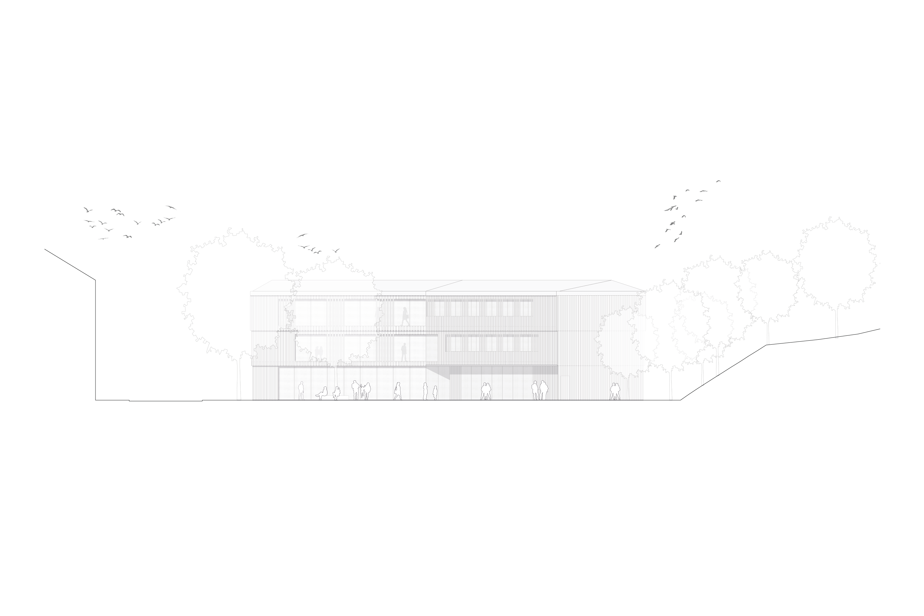 webseite_wb_wel_transparent_ansicht